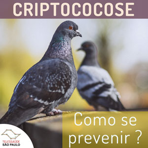 criptococose-site.jpg
